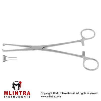 Thoms-Allis Intestinal and Tissue Grasping Forceps 6 x 7 Teeth Stainless Steel, 20.5 cm - 8"